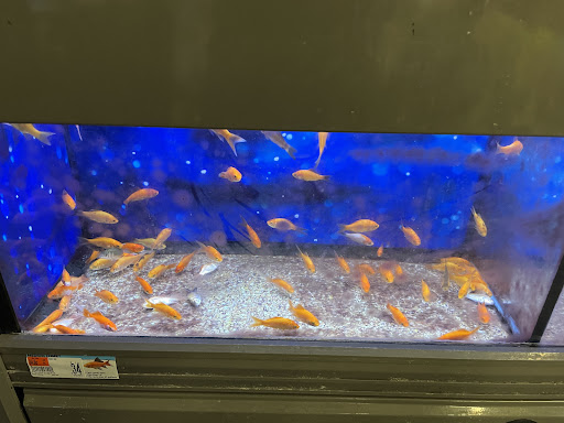 Pet Supply Store «Pet Supplies Plus», reviews and photos, 1268 N Eisenhower Dr, Beckley, WV 25801, USA