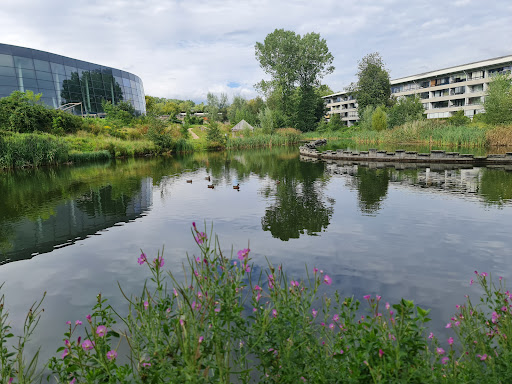 Beboerhus Værebro Park in Bagsværd, Allerød