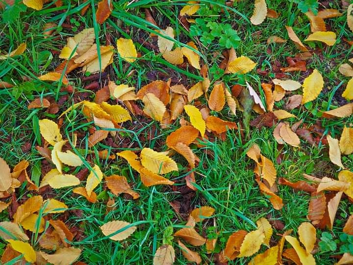 Photo n° 2 de l'avis de Pascal.e fait le 25/10/2022 à 06:17