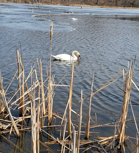 Gift Shop «Meijer Gardens Gift Shop», reviews and photos, 1000 E Beltline Ave NE, Grand Rapids, MI 49525, USA