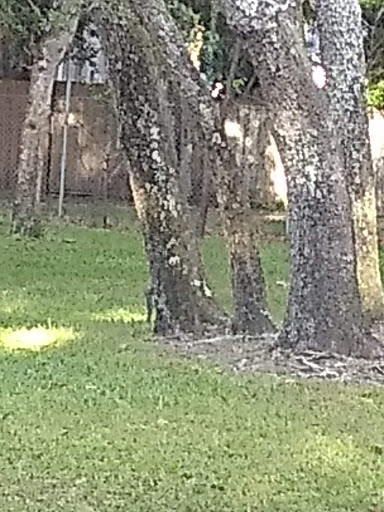 Park «Boston Hill Park», reviews and photos, 777 S Central Ave, Oviedo, FL 32765, USA