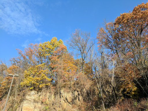 Restaurant «Cosi», reviews and photos, 50 Yorktown Plaza, Elkins Park, PA 19027, USA