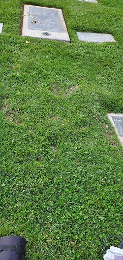 Funeral Home «Chapel of the Chimes, Hayward», reviews and photos, 32992 Mission Blvd, Hayward, CA 94544, USA