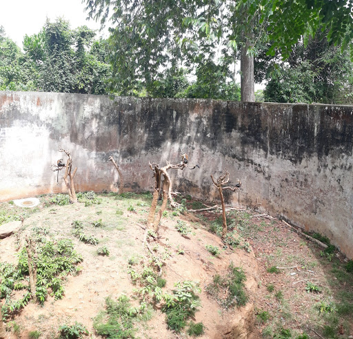 Biological Gardens, Obafemi Awolowo University, Ife, Nigeria, Zoo, state Oyo
