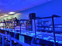 Reef Architects - Photo 5 - Car repair in Greensboro, NC, Greensboro