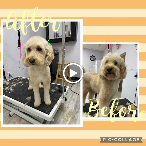 Pet Store «DipidyDawg Gourmet Dog Bakery & Boutique», reviews and photos, 21301 S Tamiami Trail Suite 430, Estero, FL 33928, USA