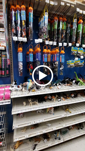 Craft Store «Michaels», reviews and photos, 3127 Silverlake Village Dr, Pearland, TX 77584, USA