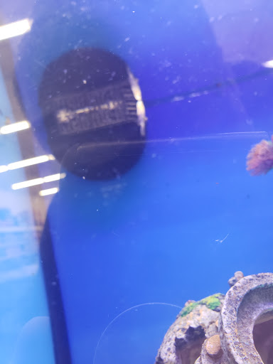 Pet Supply Store «Pet Supplies Plus», reviews and photos, 2424 W State St, Alliance, OH 44601, USA