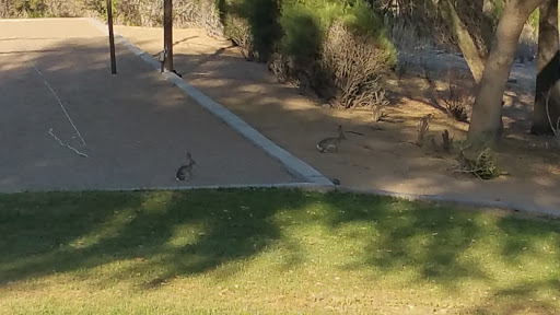 Recreation Center «Palm Valley Comm Center», reviews and photos, 14145 Palm Valley Blvd, Goodyear, AZ 85395, USA