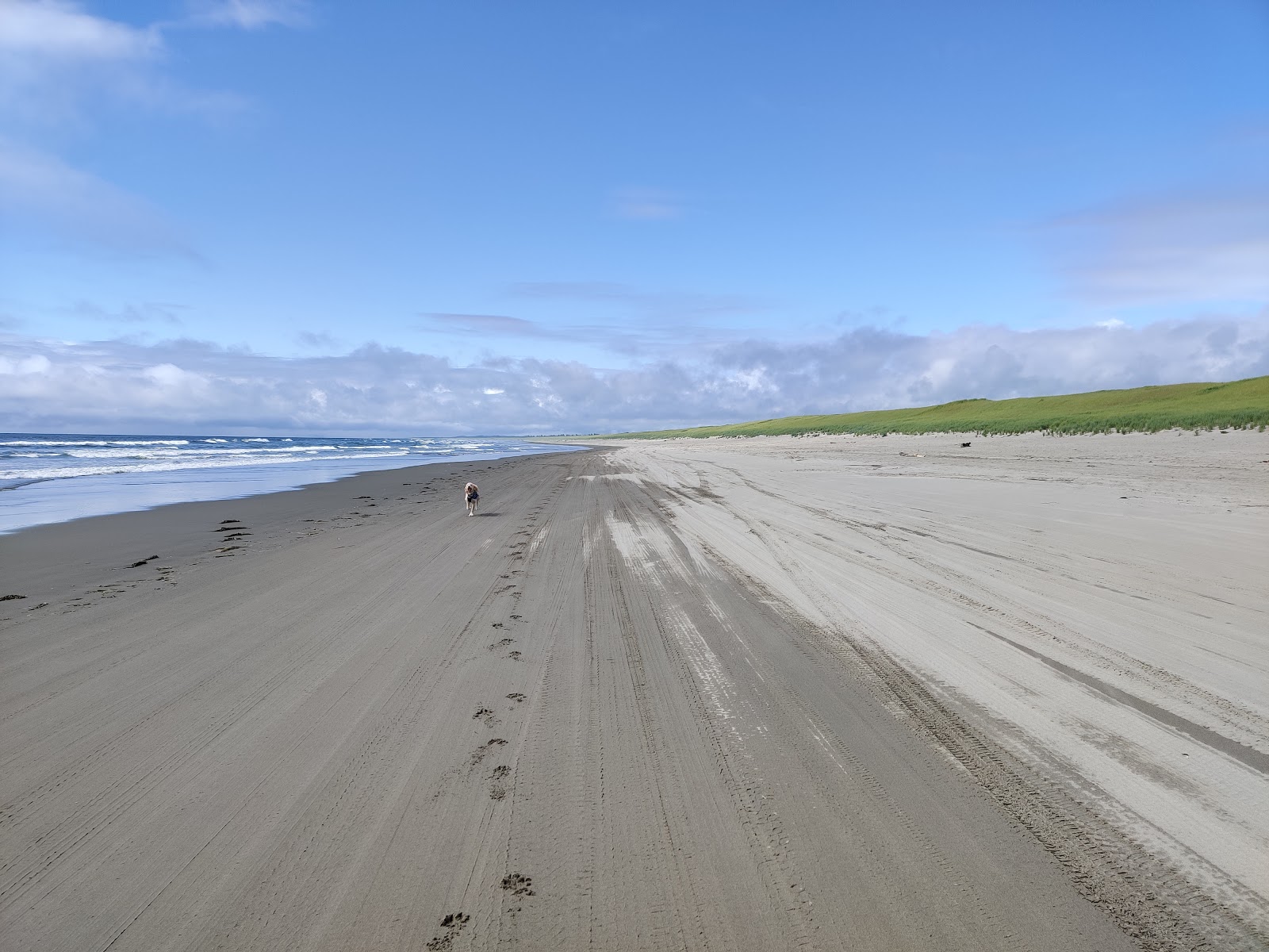 Photo de Del Rey Beach avec l'eau cristalline de surface