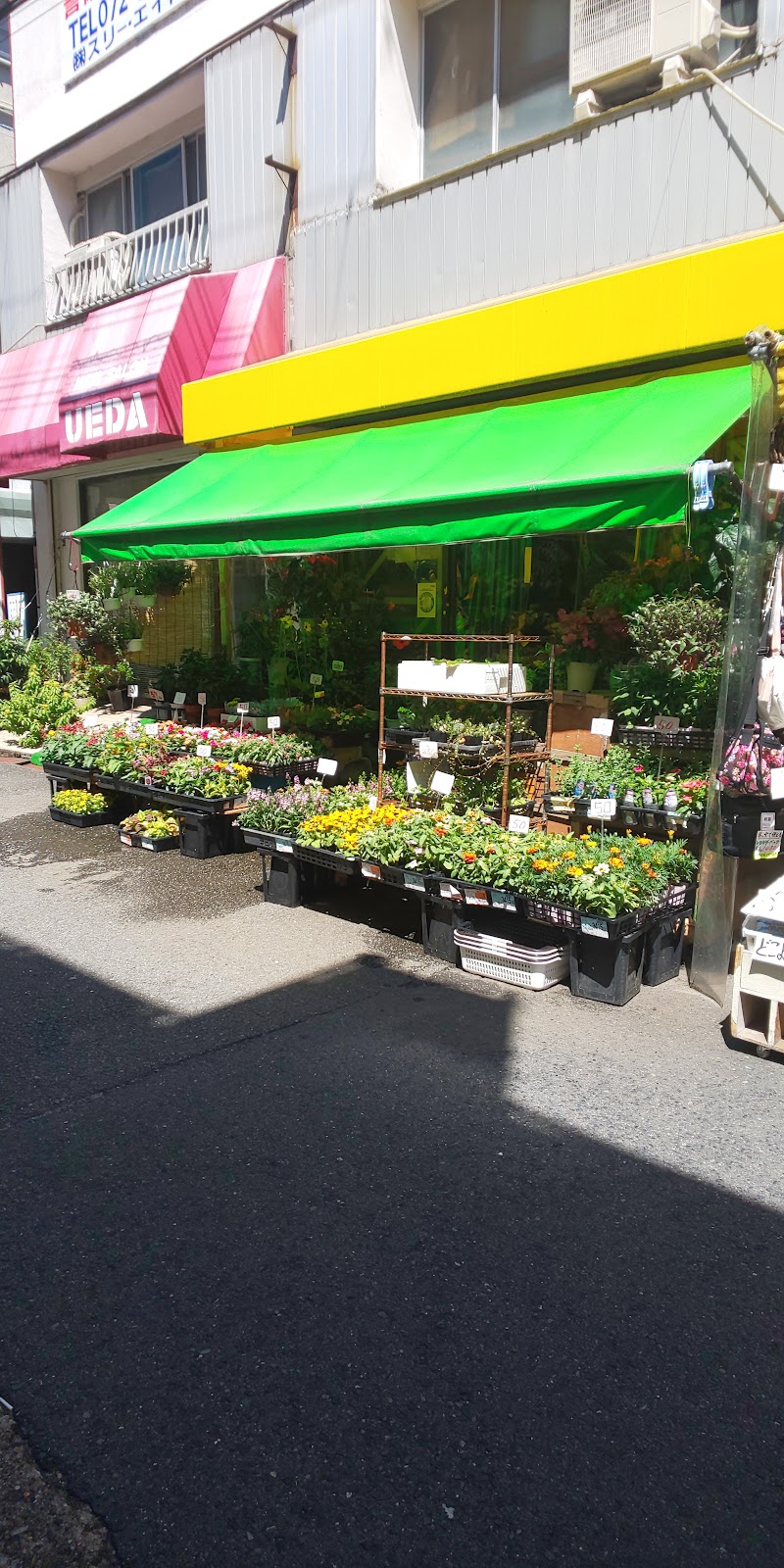 緑花生花店