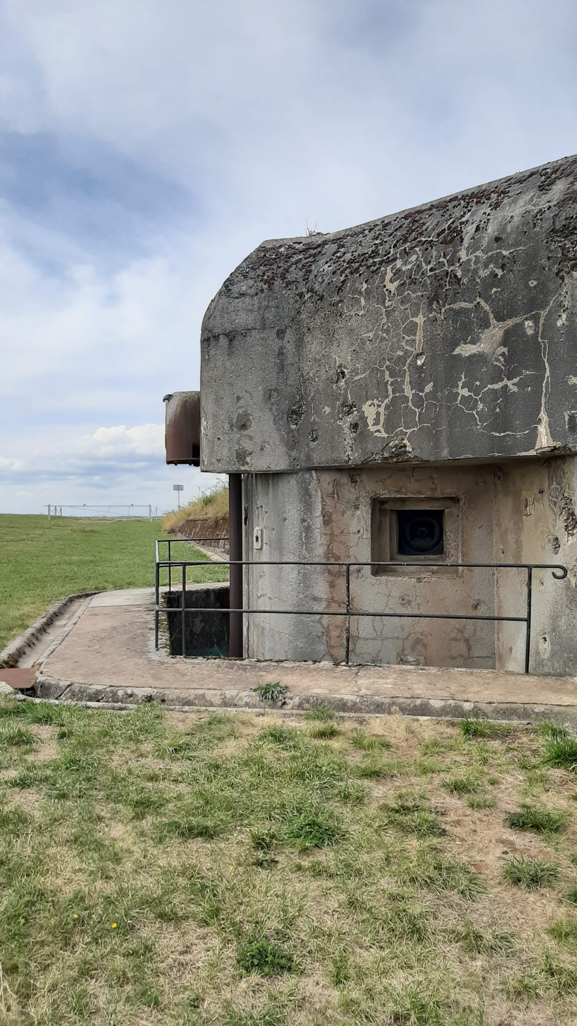 Photo n° 6 de l'avis de Raymond.e fait le 30/08/2020 à 13:53