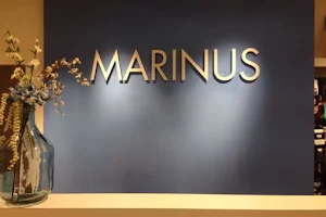 Marinus Mode image