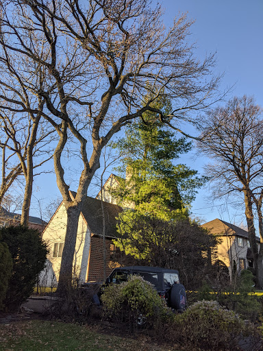 Park «Palisades Park Recreation Area», reviews and photos, 676 Undercliff Ave, Edgewater, NJ 07020, USA