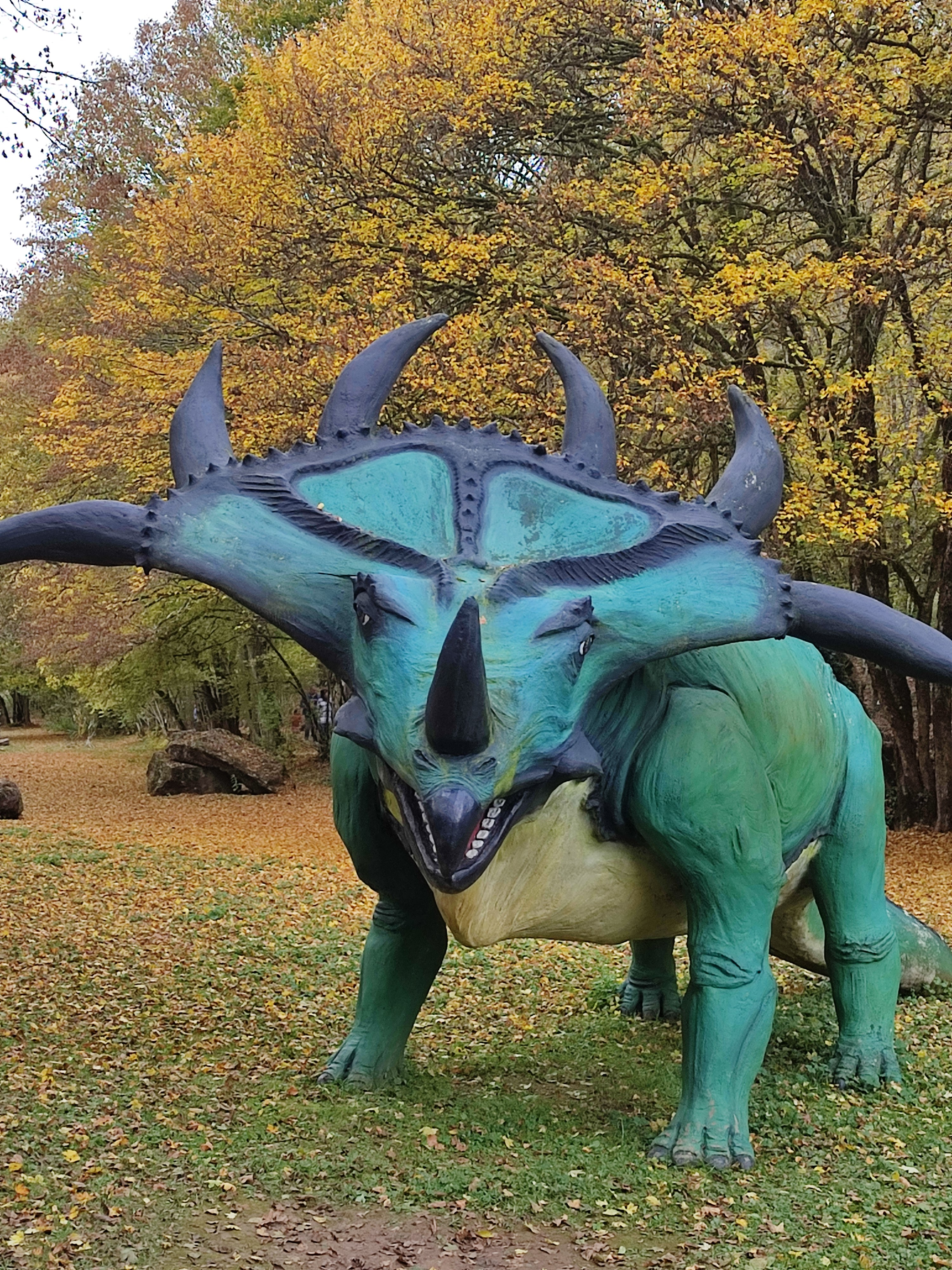 Photo n° 10 de l'avis de Anna.e fait le 05/11/2021 à 20:07