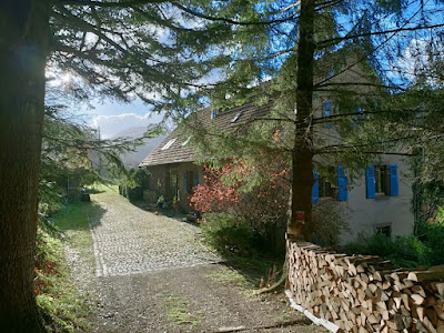 L'ABEILLE ET LES POMMES DE PIN à Le Hohwald