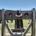 Photo n° 4 de l'avis de Nora.u fait le 11/07/2019 à 09:06 pour Château de Mélusine et son parc de loisirs médiéval à Saint-Jean-d'Angle