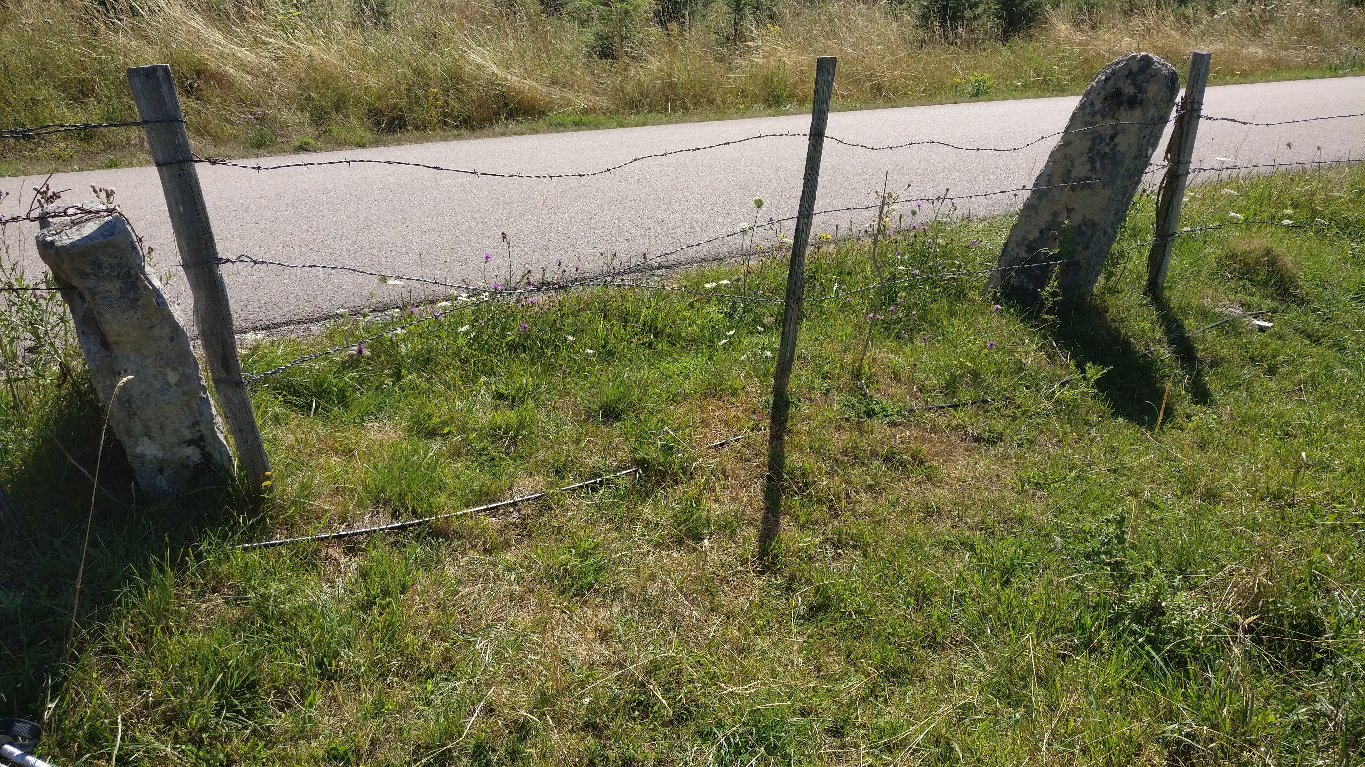 Photo n° 4 de l'avis de DEnis.u fait le 06/08/2019 à 19:32