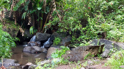 Puʻu ʻUalakaʻa State Wayside