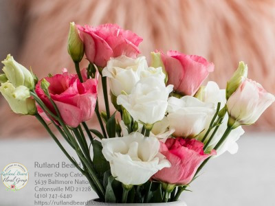 Florist «Rutland Beard Florist», reviews and photos, 5639 Baltimore National Pike, Catonsville, MD 21228, USA