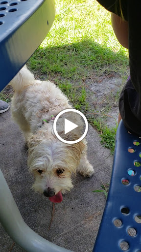 Park «Dr. P. Phillips Community Park», reviews and photos, 8249 Buenavista Woods Blvd, Orlando, FL 32836, USA