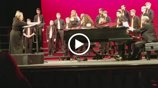 Performing Arts Theater «Raue Center For The Arts», reviews and photos, 26 N Williams St, Crystal Lake, IL 60014, USA