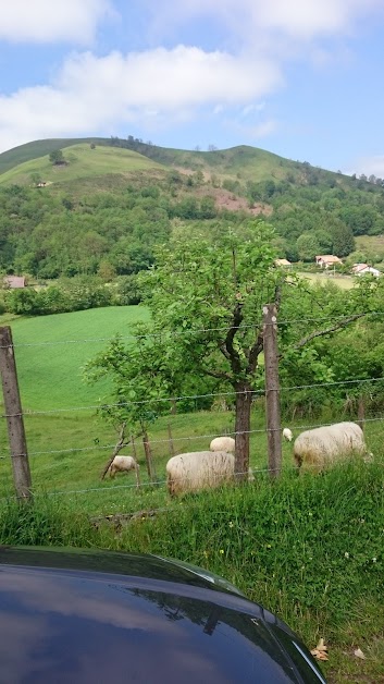 La Braisière à Bayonne (Pyrénées-Atlantiques 64)