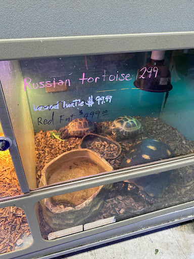 Pet Store «Aqua World Pet Super Center», reviews and photos, 8143 Ohio River Blvd, Pittsburgh, PA 15202, USA