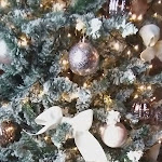 Photo n°5 de l'avis de Sara.a fait le 23/11/2022 à 09:38 sur le  Casa Del Vino della Vallagarina à Isera