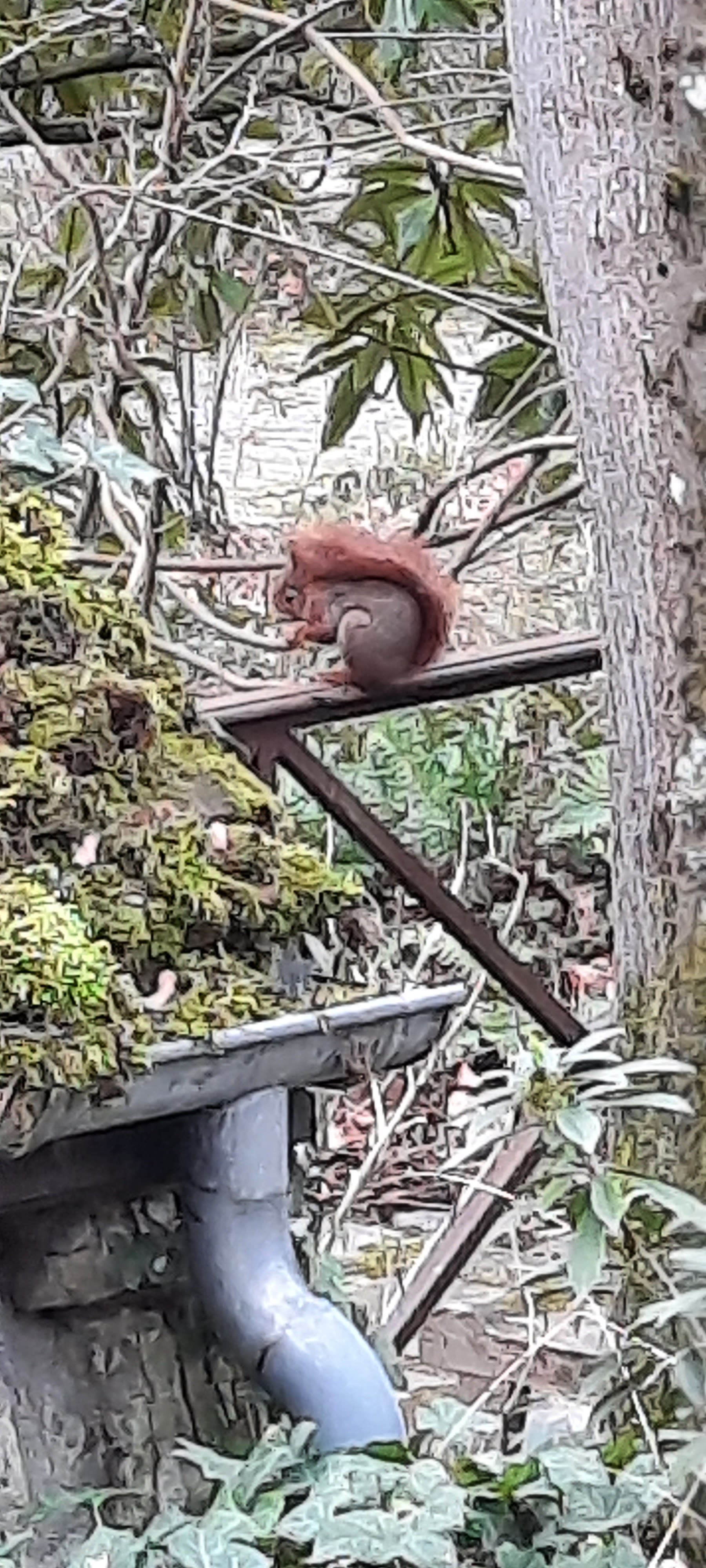 Photo n° 4 de l'avis de Eugénio.A fait le 31/03/2021 à 17:33