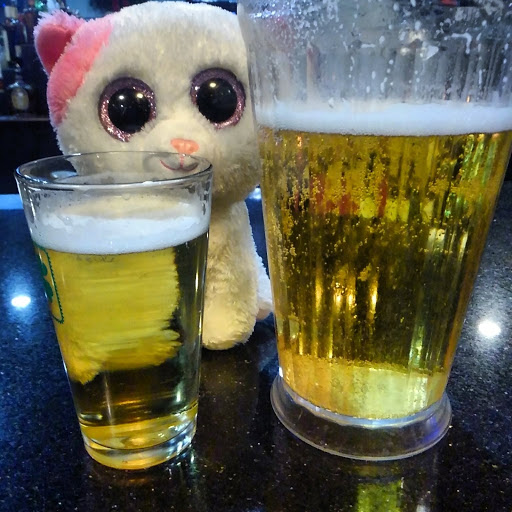 351 York St, Williamsburg, VA 23185, USA