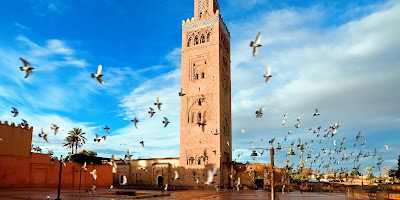 Photos of Marrakech city tour guide, Marrakech guided tours, Marrakech tour guide,Marrakech guided day tours