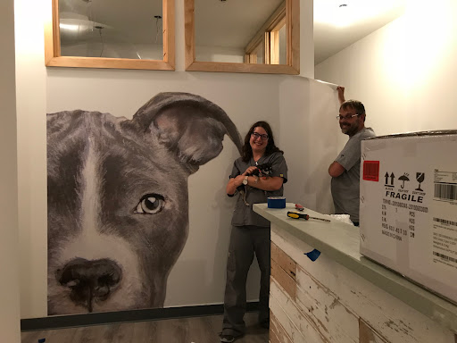 Jones Jennifer VMD image