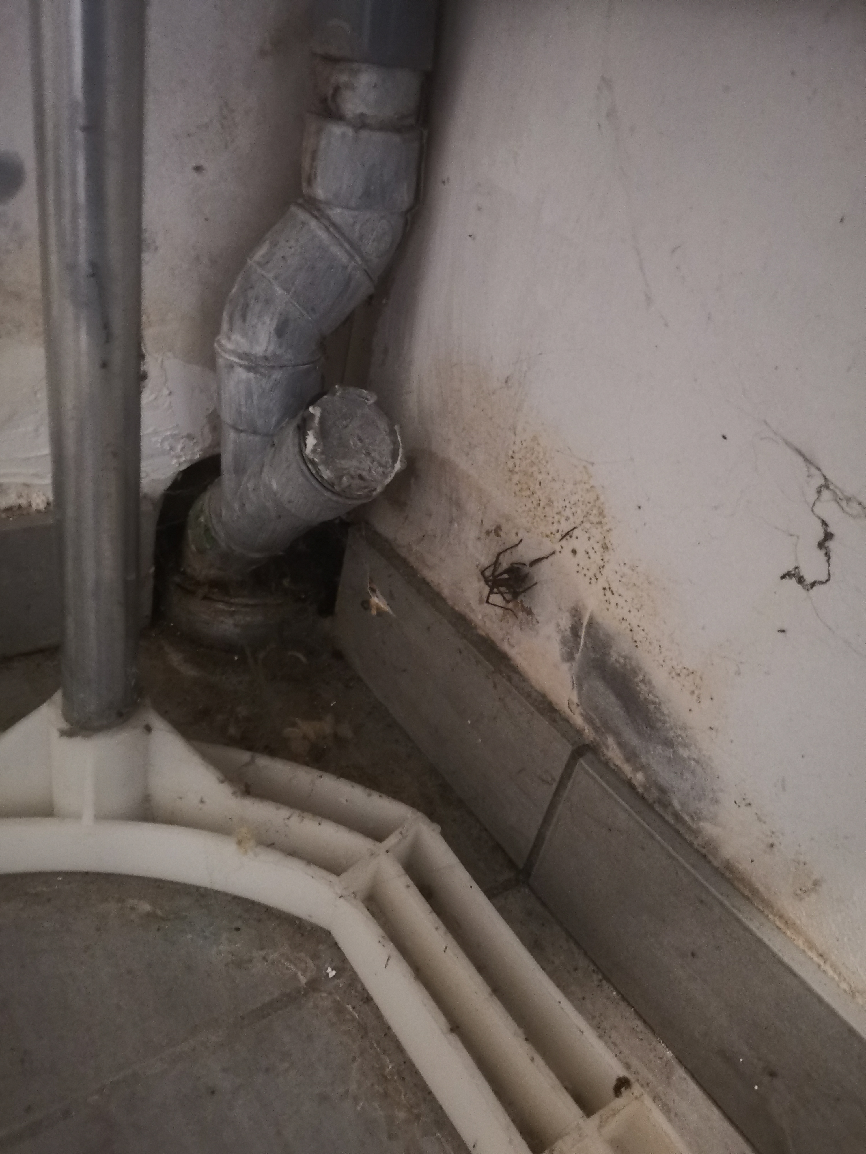 Photo n° 1 de l'avis de Alexandre.a fait le 06/12/2023 à 13:32