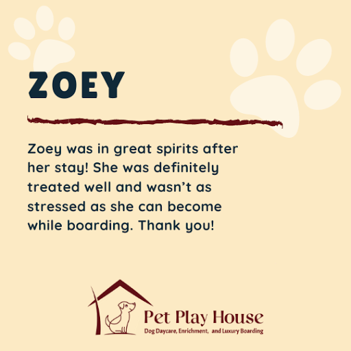 Pet Store «Pet Play House», reviews and photos, 2403 E 4th St, Reno, NV 89512, USA