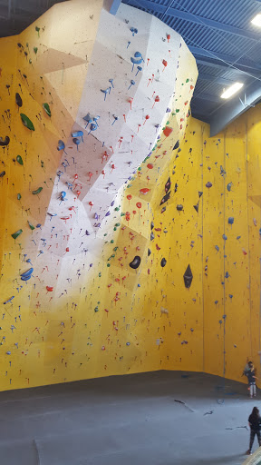 Rock Climbing «Planet Rock Climbing Gym», reviews and photos, 1103 W 13 Mile Rd, Madison Heights, MI 48071, USA