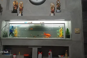 Toko Aquarium image