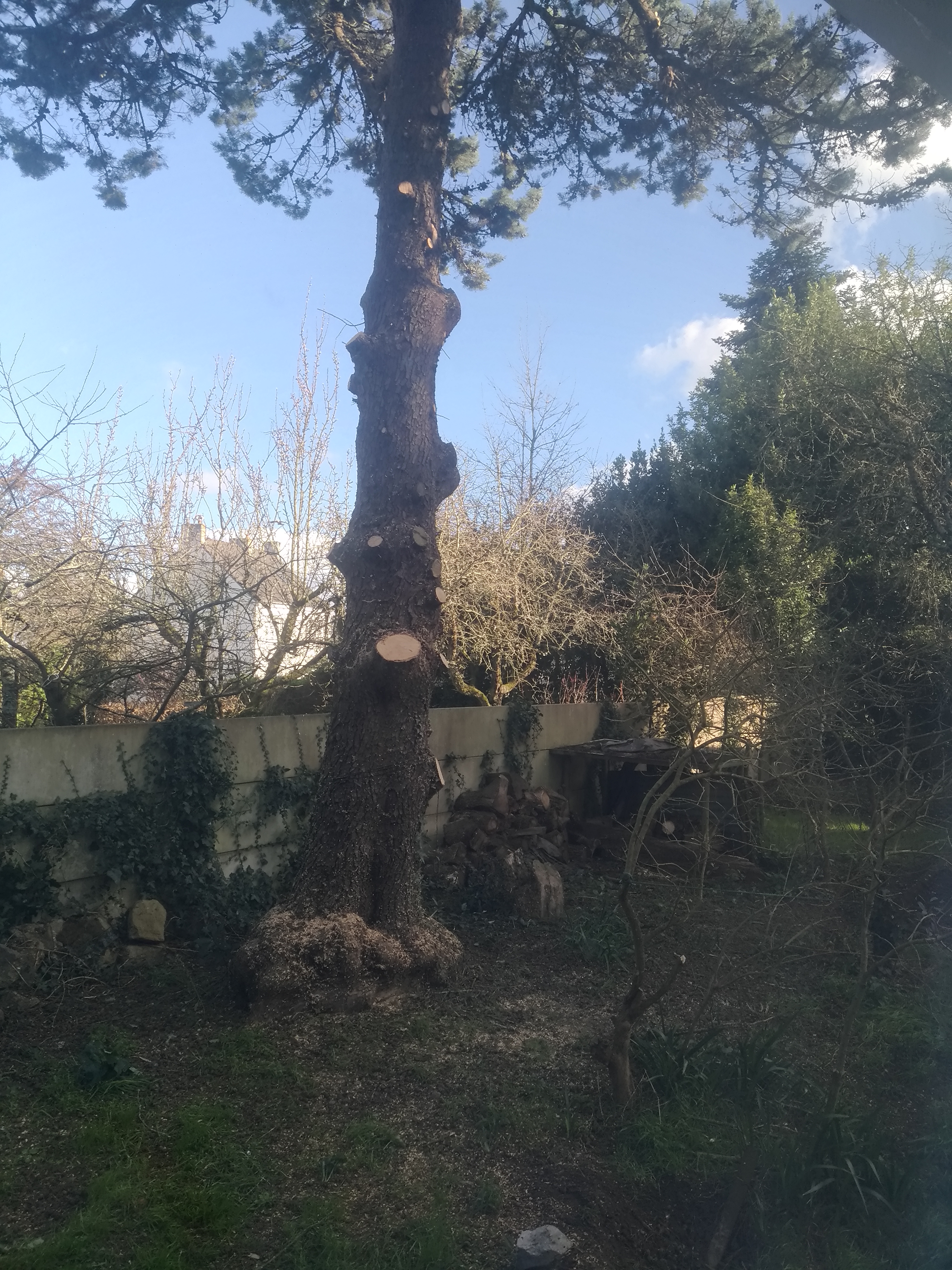 Photo n° 1 de l'avis de Elodie.o fait le 23/02/2022 à 17:45