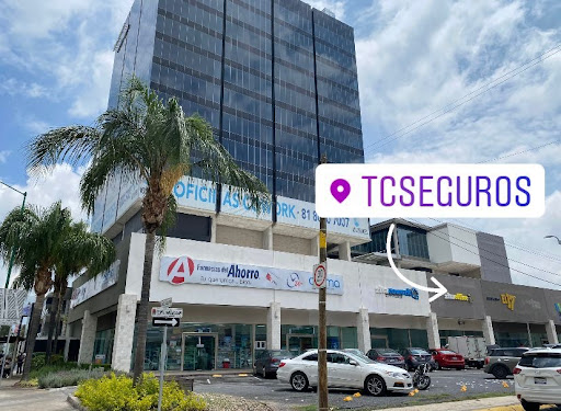 TC Seguros