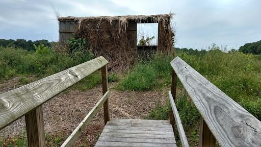 Nature Preserve «Wye Island Natural Resources Management Area», reviews and photos, 632 Wye Island Rd, Queenstown, MD 21658, USA