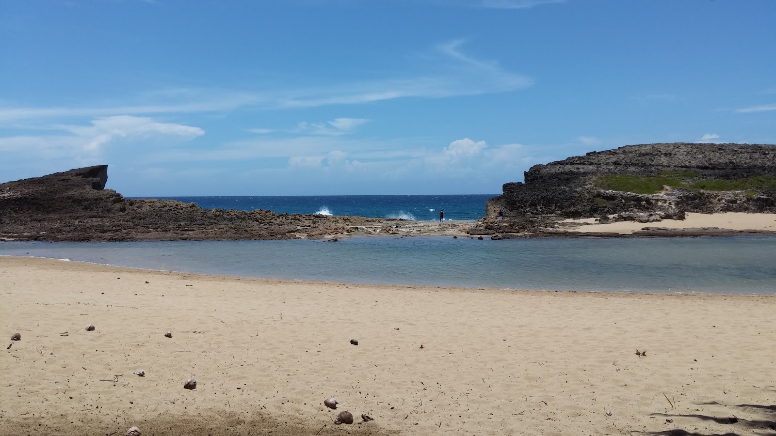 Foto van Arecibo beach wilde omgeving