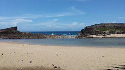 Arecibo beach'in fotoğrafı vahşi alan