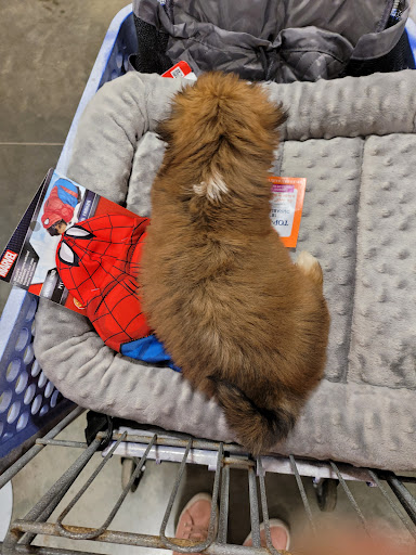 Pet Supply Store «PetSmart», reviews and photos, 15134 Crossroads Pkwy, Gulfport, MS 39503, USA