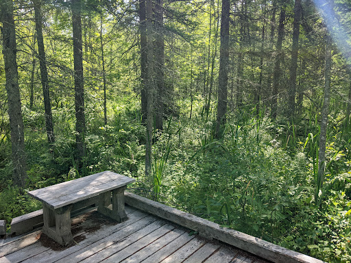 Nature Preserve «Eshqua Bog Natural Area», reviews and photos, Garvin Hill Rd, Woodstock, VT 05091, USA