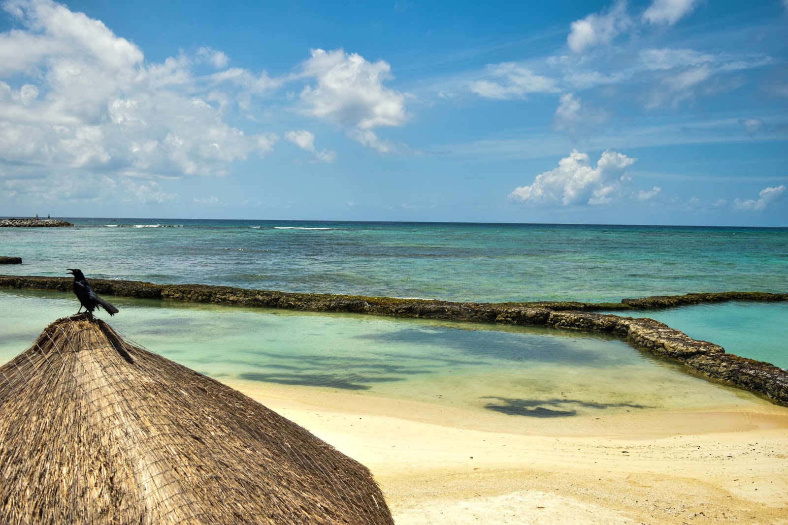 Foto de Puerto Aventuras beach área de comodidades