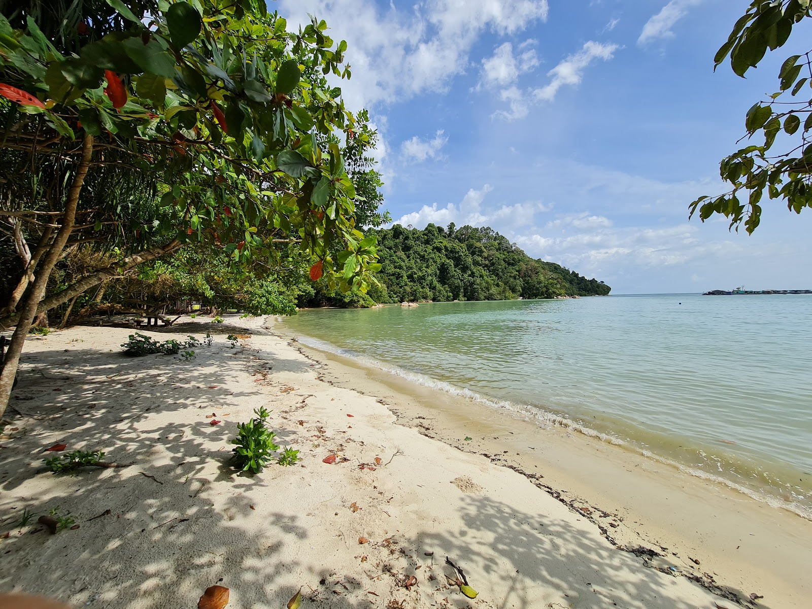 Foto von Adverlabs Beach mit beiger sand Oberfläche