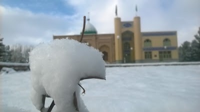 Photos of امامزاده سید حبیب (ع) روستای حاجی آباد