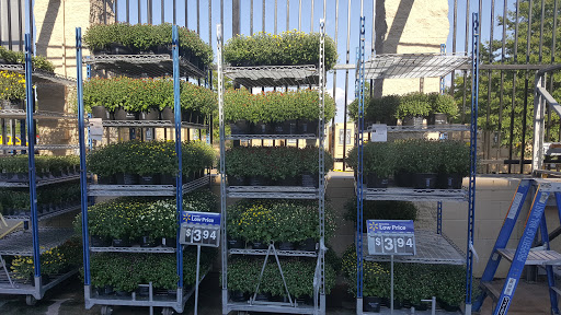 Department Store «Walmart Supercenter», reviews and photos, 75 NE Plaza, North East, MD 21901, USA