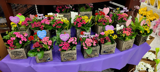 Grocery Store «ACME Markets», reviews and photos, 425 U.S. 9, Tuckerton, NJ 08087, USA