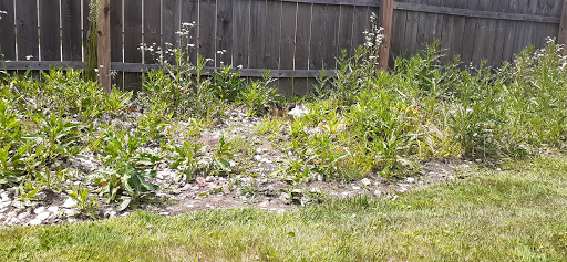 Bowling Alley «Merri-Bowl Lanes», reviews and photos, 30950 Five Mile Road, Livonia, MI 48154, USA